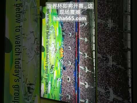 国足世界排,名上升两位,位列第,B体育登录入口,B体育平台,B体育注册网址,B体育app,B体育官网,B体育网站,B体育网页版